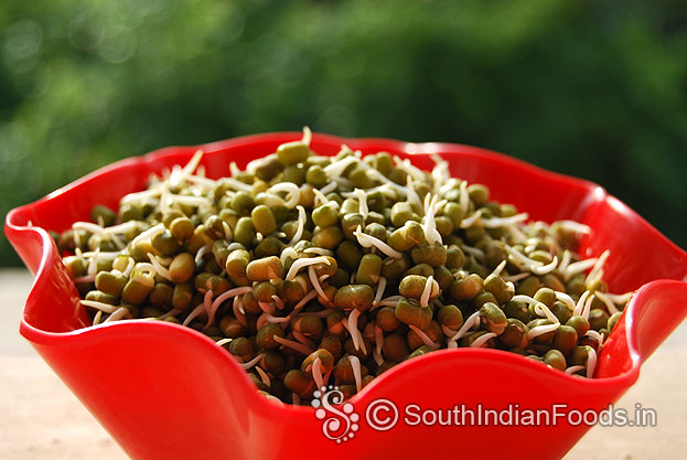 Sprouted green moong sprouted green moong